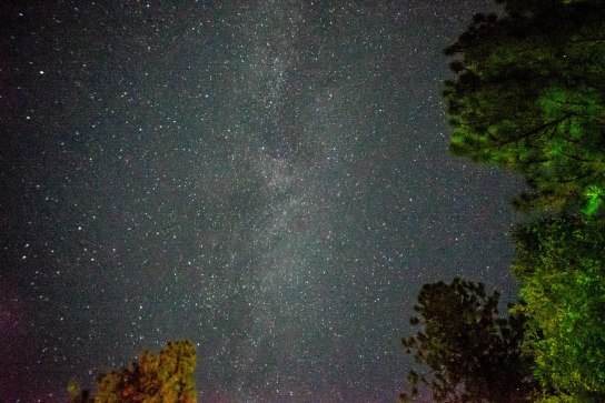 Star Shot 12-1-15-19