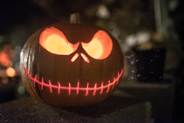 Star Shot 12-1-15-20