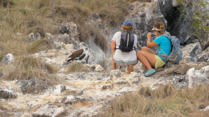 Shannon and Jess getting up close to some blue boobys