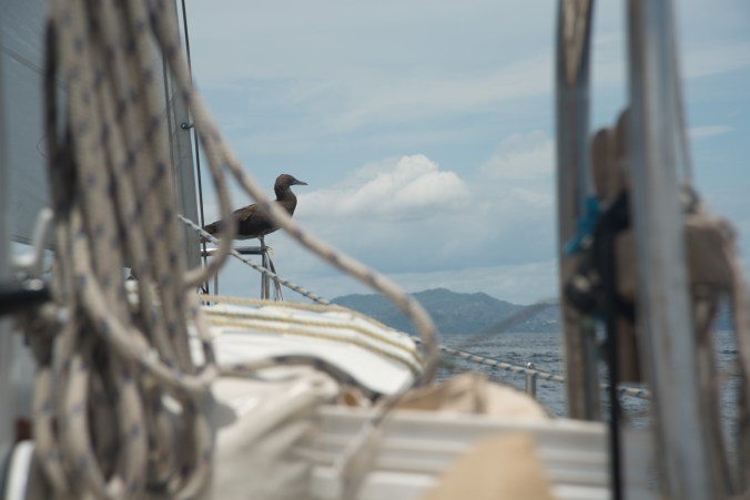 ep.17 thumb jpeg-140