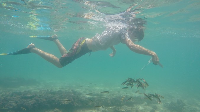 ep.17 thumb jpeg-150