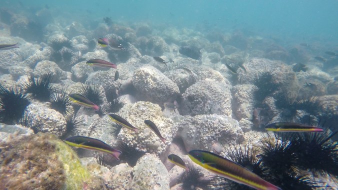 ep.17 thumb jpeg-152