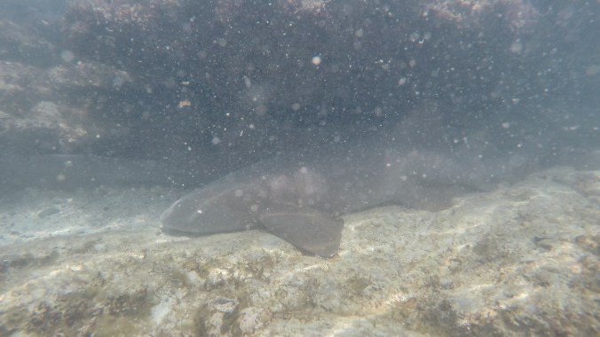 ep.17 thumb jpeg-154