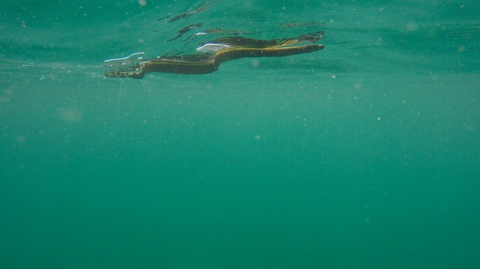 ep.17 thumb jpeg-155