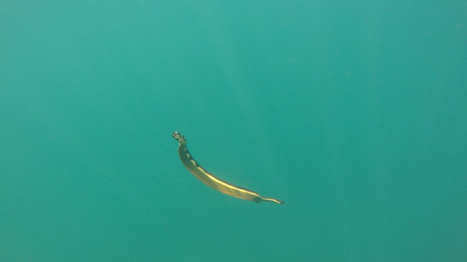 ep.17 thumb jpeg-157