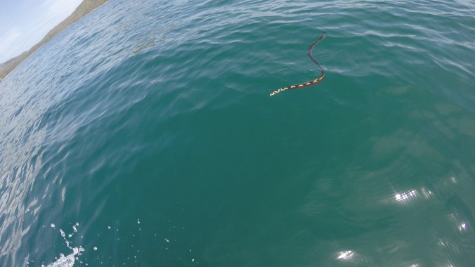 ep.17 thumb jpeg-158