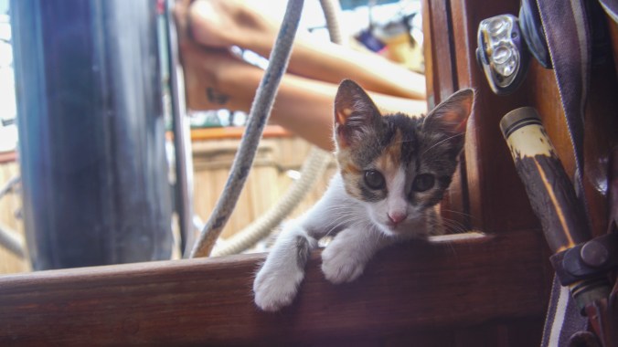 ep.17 thumb jpeg-178