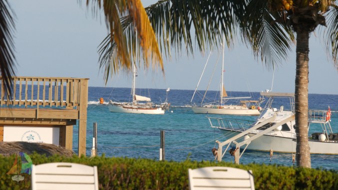 Looking out at the anchorage from Little Cayman Beach Resort