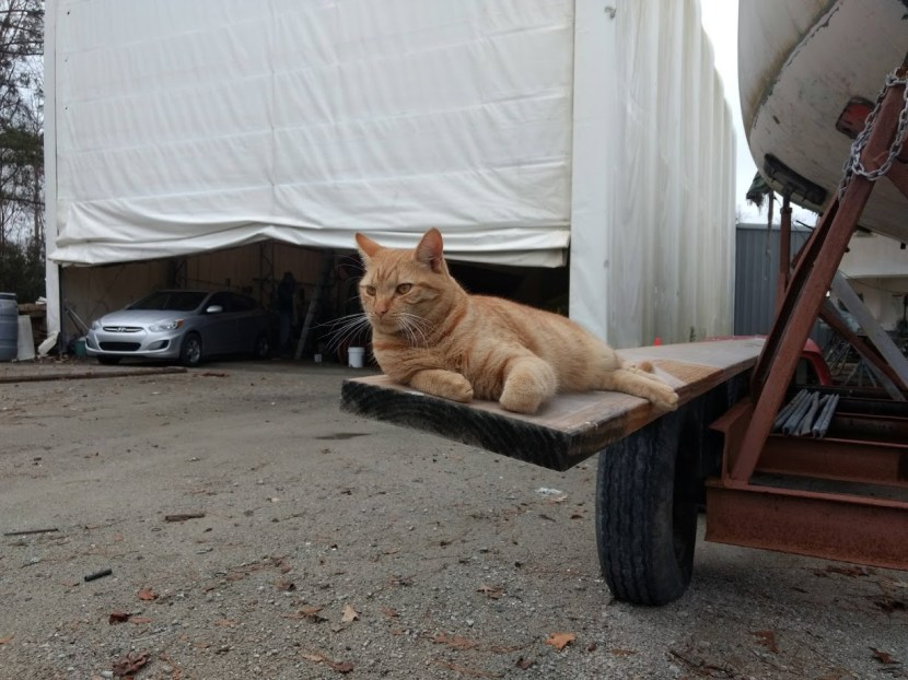 IMG_20181230_150859869