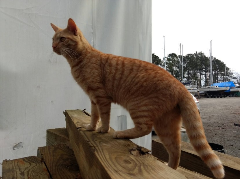 IMG_20190118_101316399