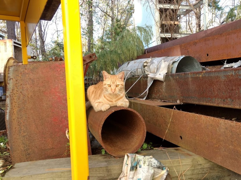 IMG_20181117_102400596_HDR