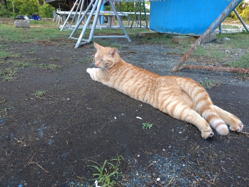 IMG_20190508_190532159