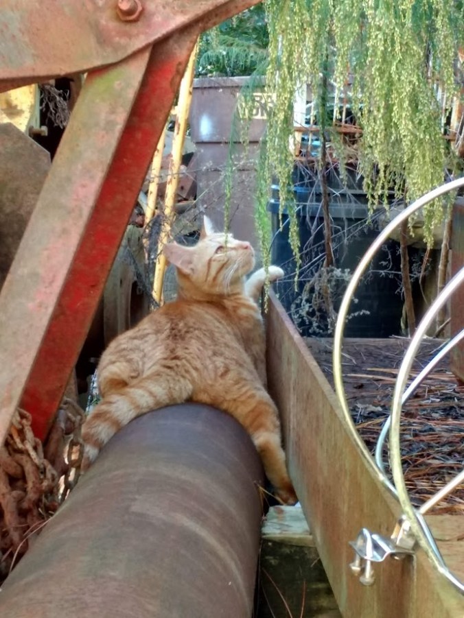 IMG_20181117_102611075_HDR