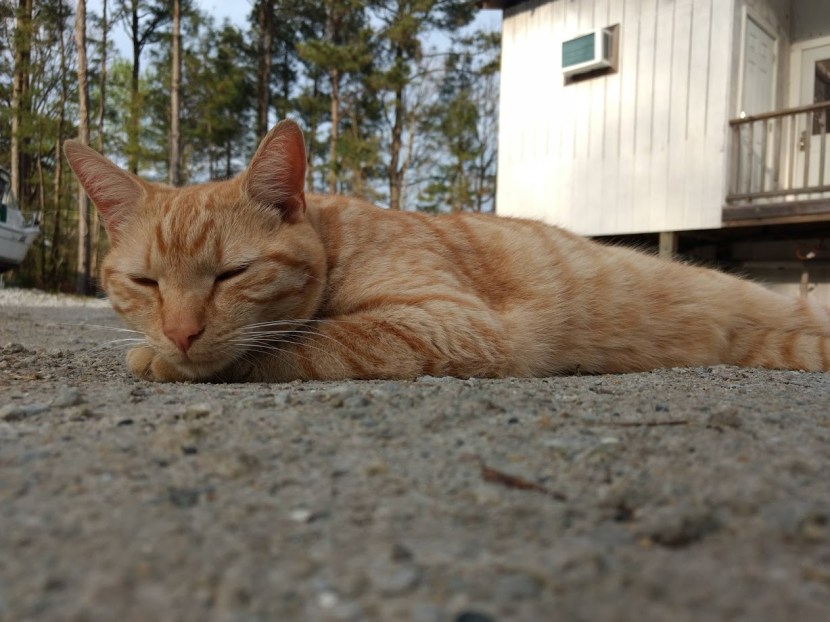 IMG_20190407_181226757_BURST000_COVER_TOP